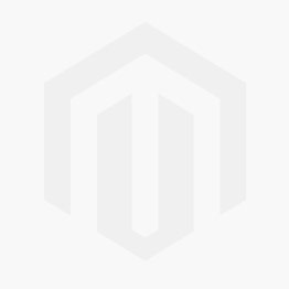 rancilio steam wand